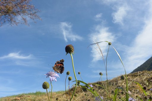 【変化】秋空