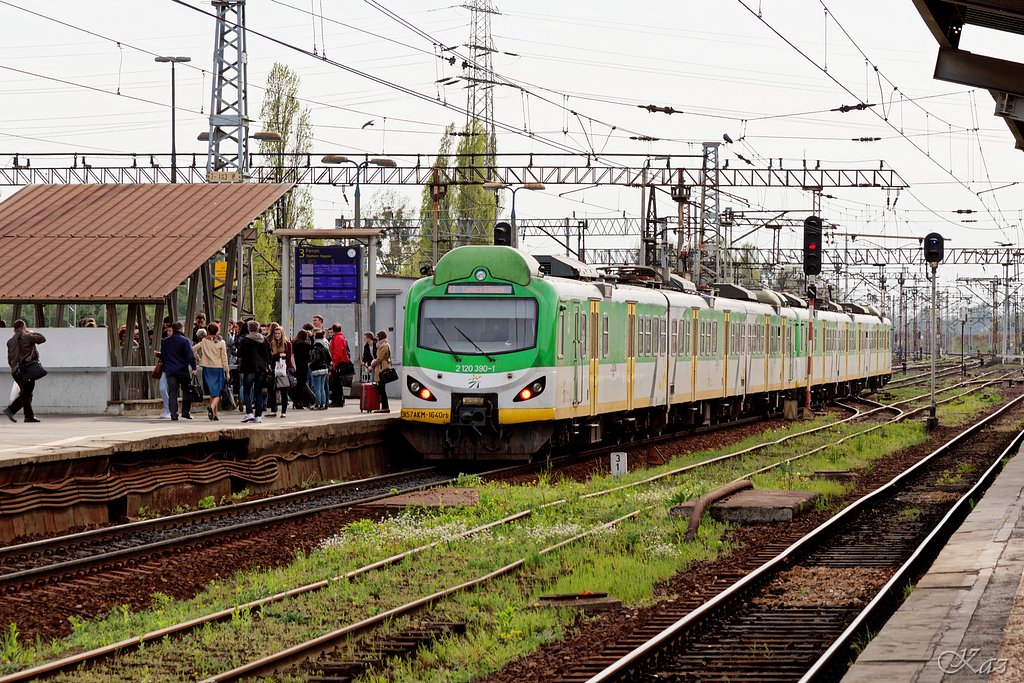 Polish Train 3