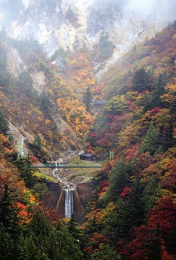 姥湯の紅葉