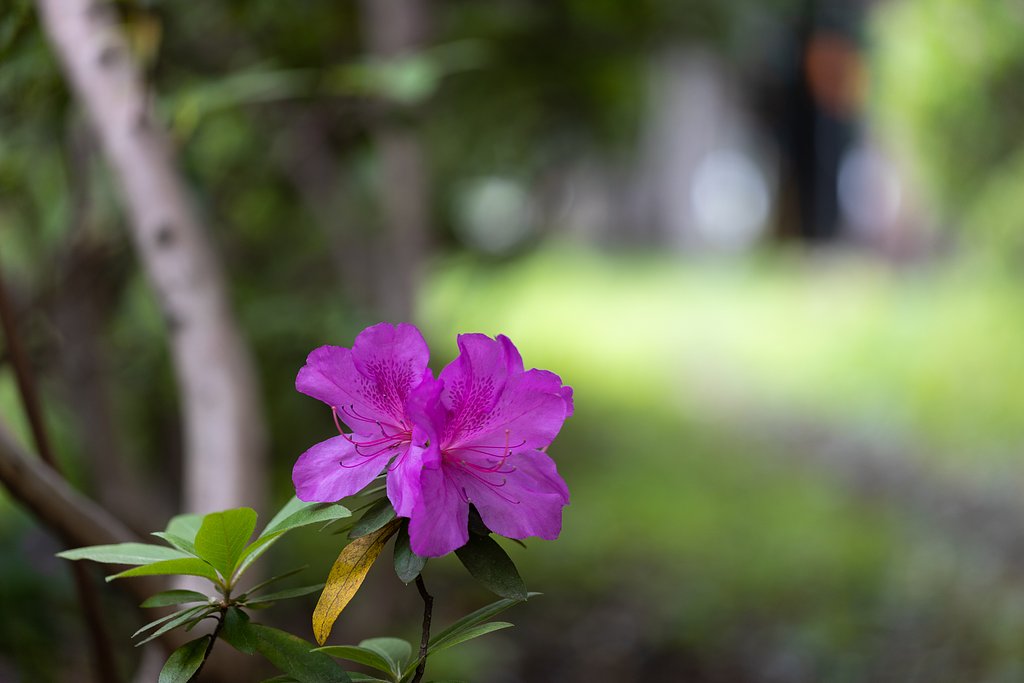 EF100mm f/2.8L Macro IS USM