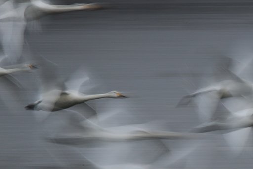 １/４秒の世界