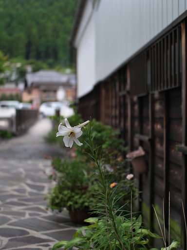 ED 25mm F1.2 Pro