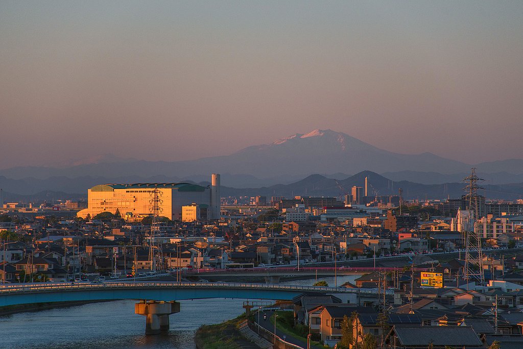 【花・空のある風景】夕日注ぐ我が街並