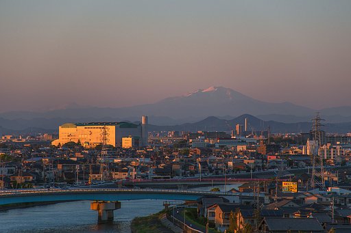 【花・空のある風景】夕日注ぐ我が街並