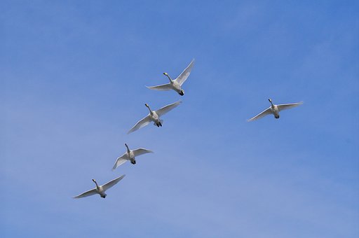 青空に