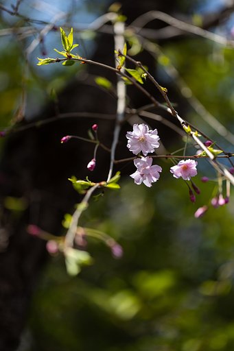 EF100mm f/2.8L Macro IS USM