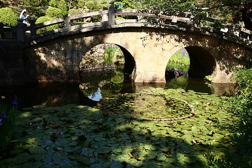 眼鏡の景色