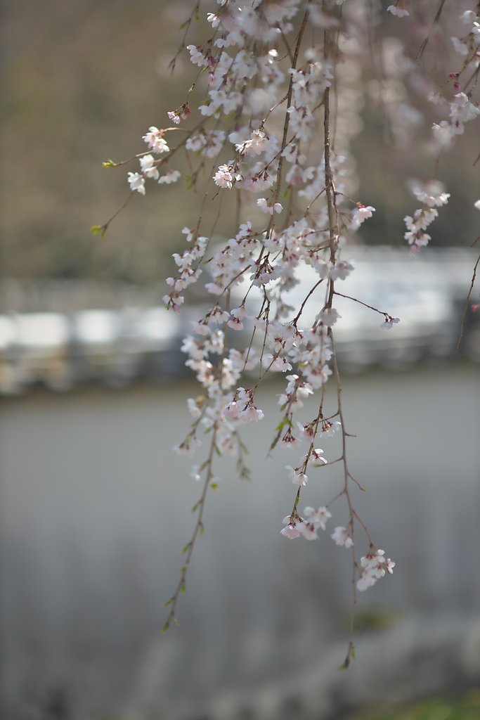 EF135mm F2L 