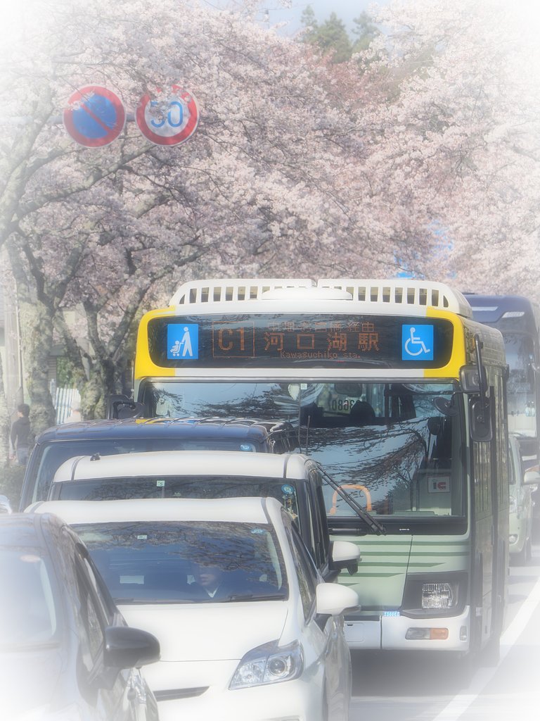 春の通り道