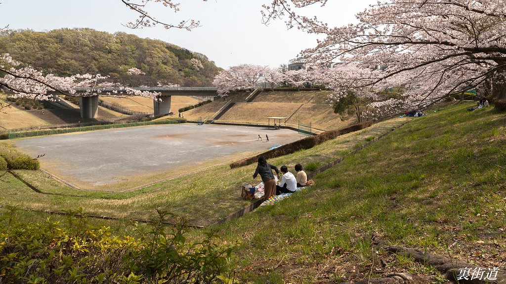 【花のある風景】若宮公園