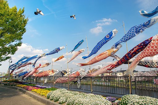 青空にこいのぼり