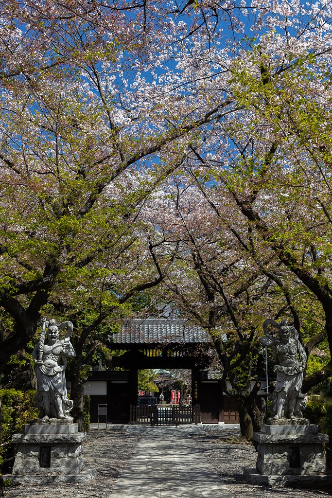 EF50mm f/1.2L USM