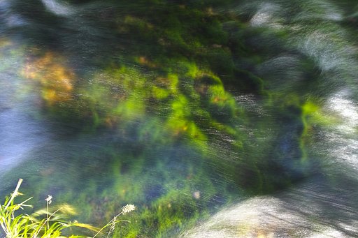 獅子ヶ鼻湿原の湧水