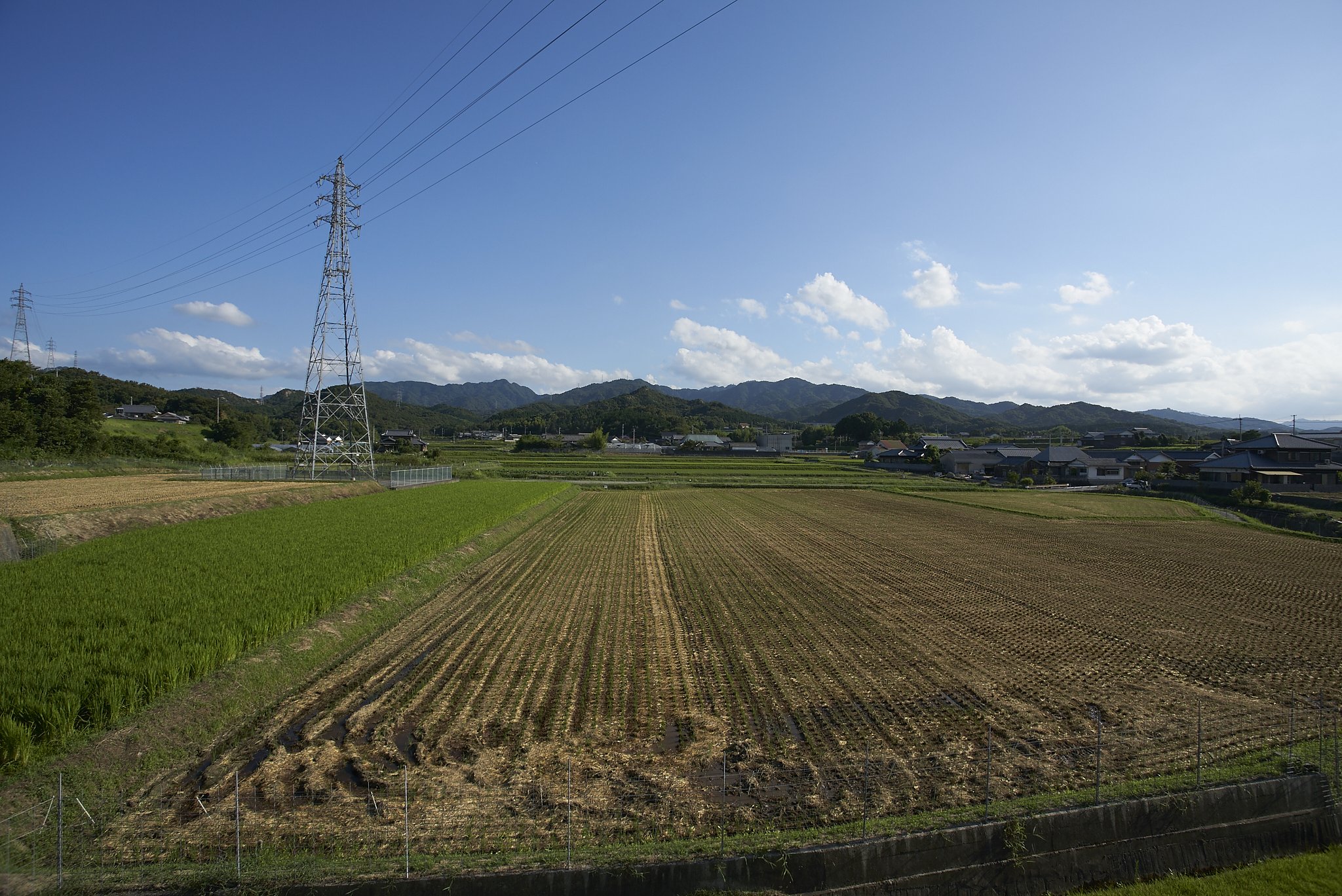 雑景