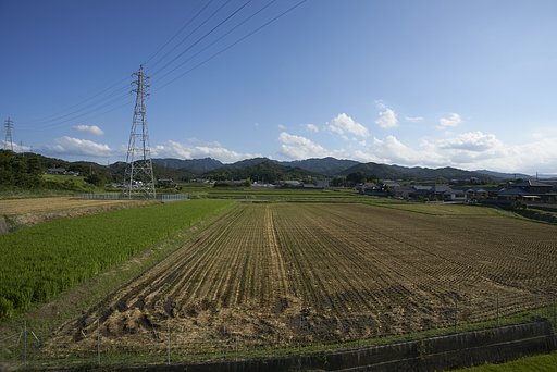 雑景