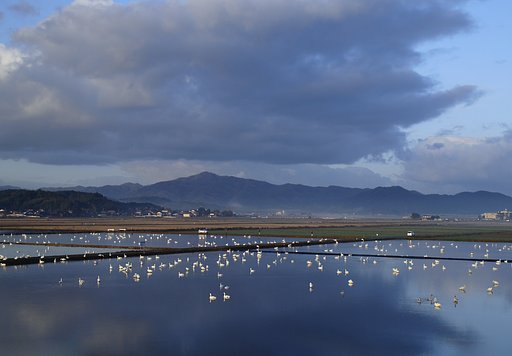 1月10日の写真