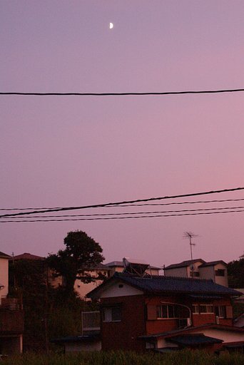 立て位置