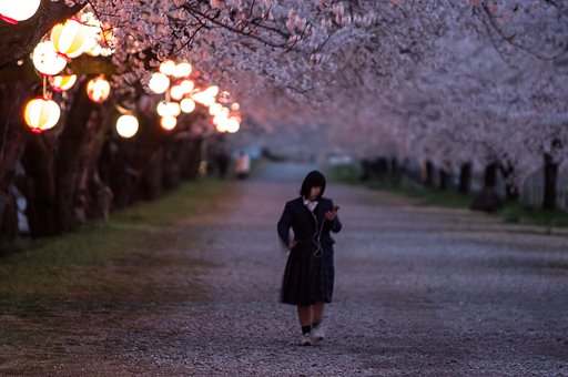君の春