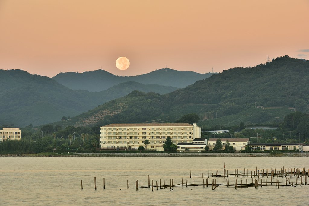 月没