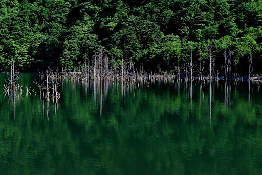 幻想的な風景2