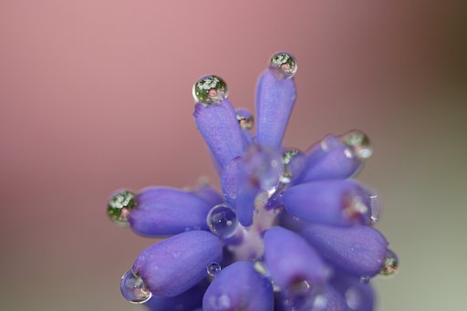 雨上がり