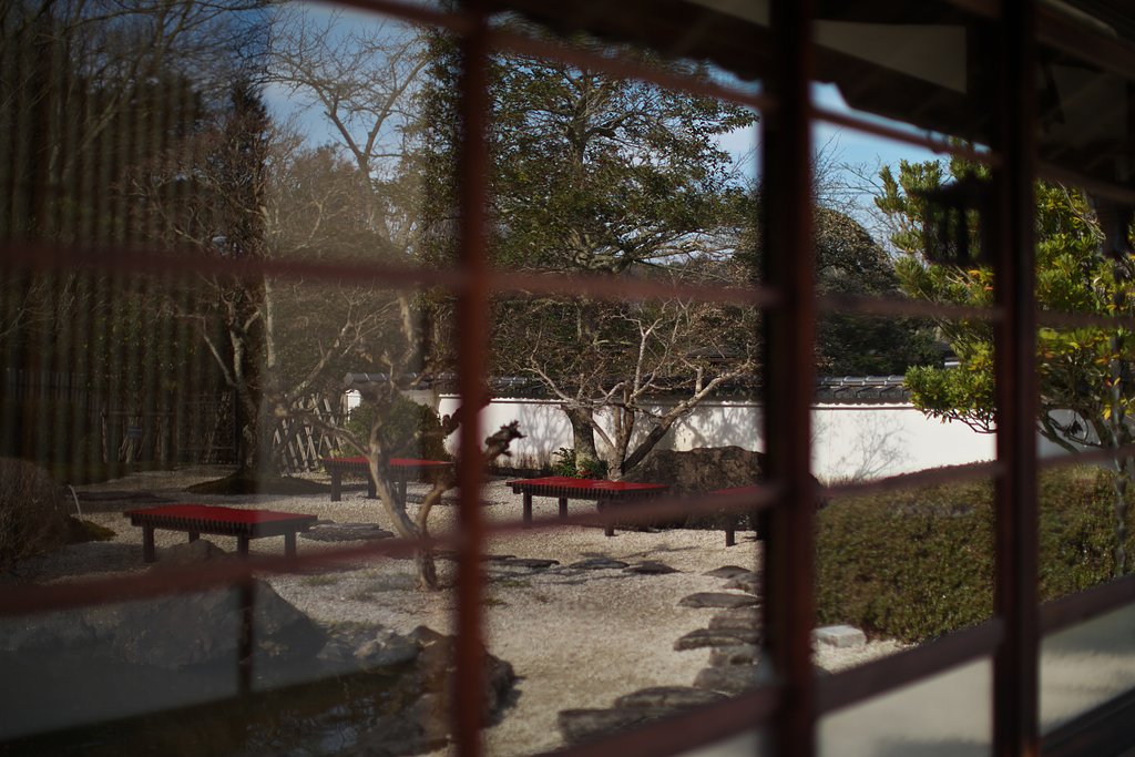 庭園の映り込み