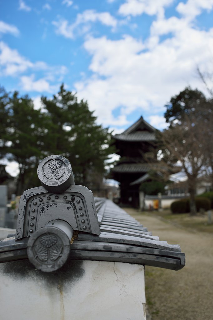 大樹寺にて