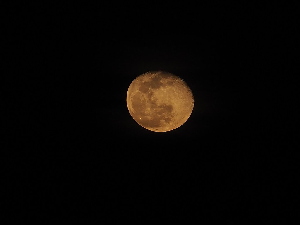 今夜の月