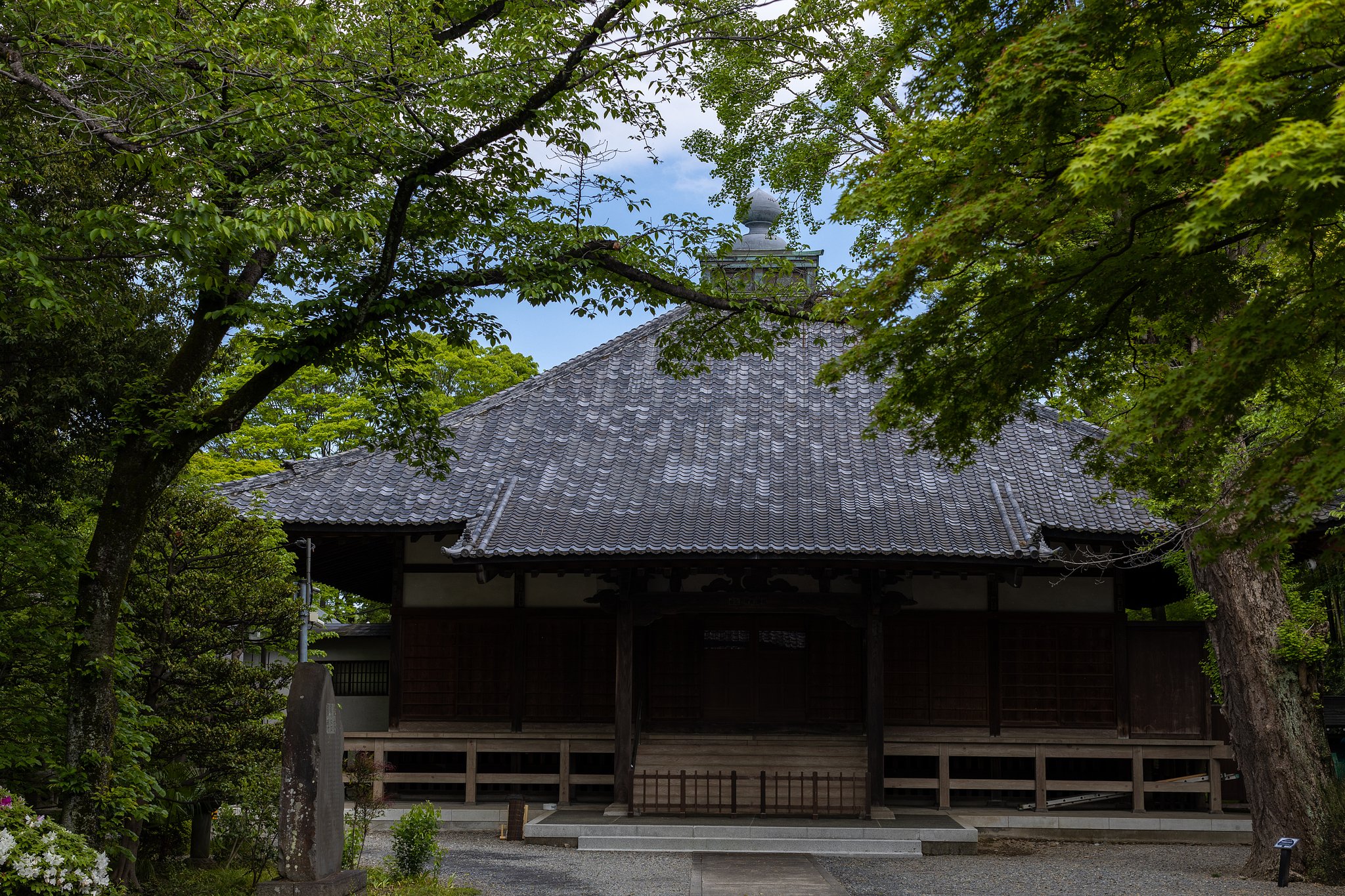 EF50mm f/1.2L USM