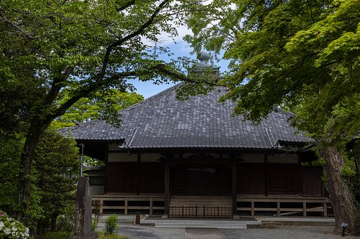 EF50mm f/1.2L USM