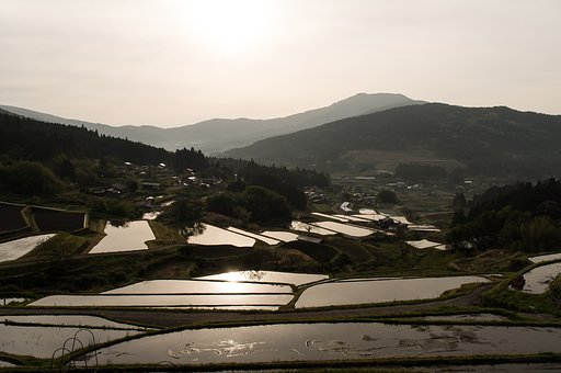 そして金色の世界へ・・・