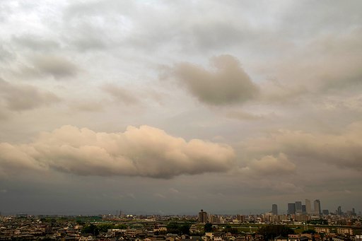 【花・空のある写真】大きな雲