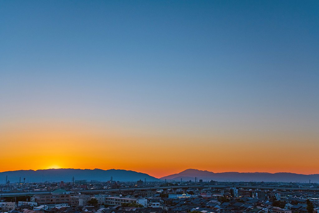 【花・空のある写真】Twilight