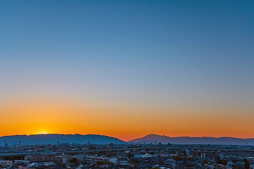 【花・空のある写真】Twilight
