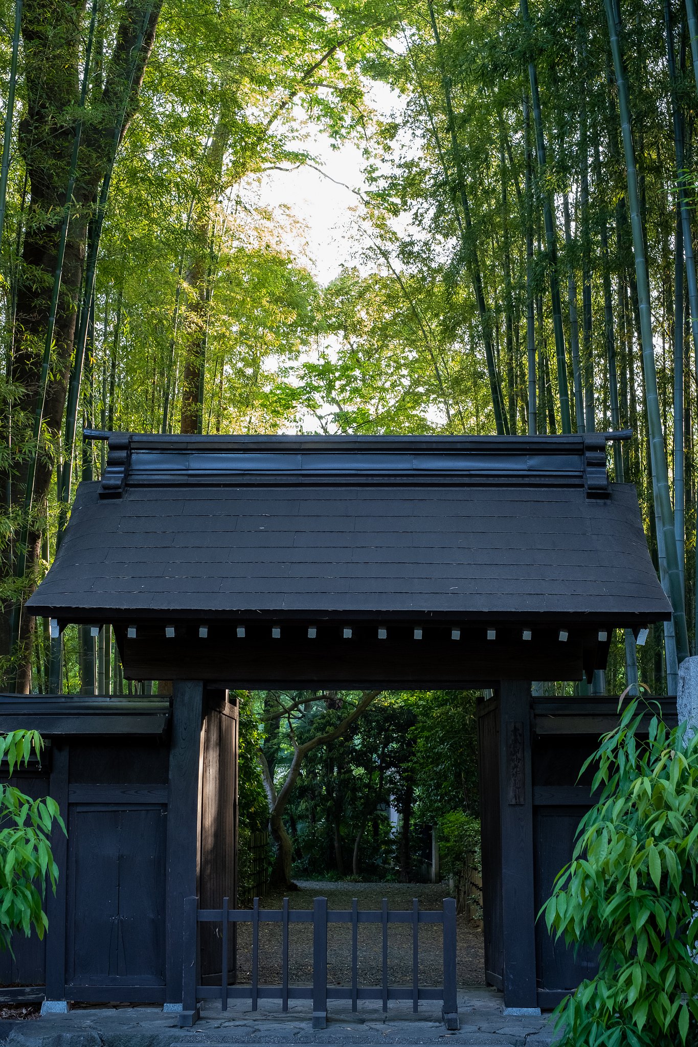 XF35mmF1.4 R