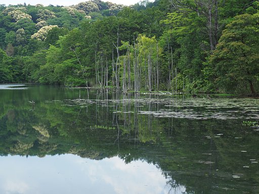 5月13日の写真