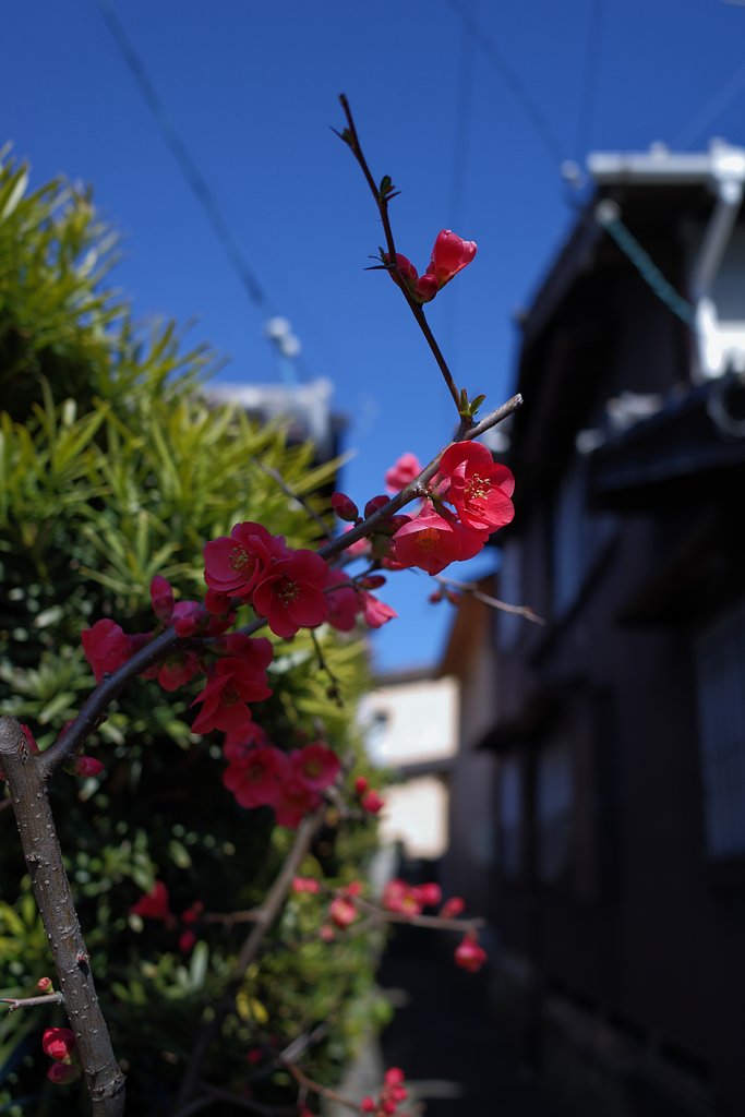 路地裏