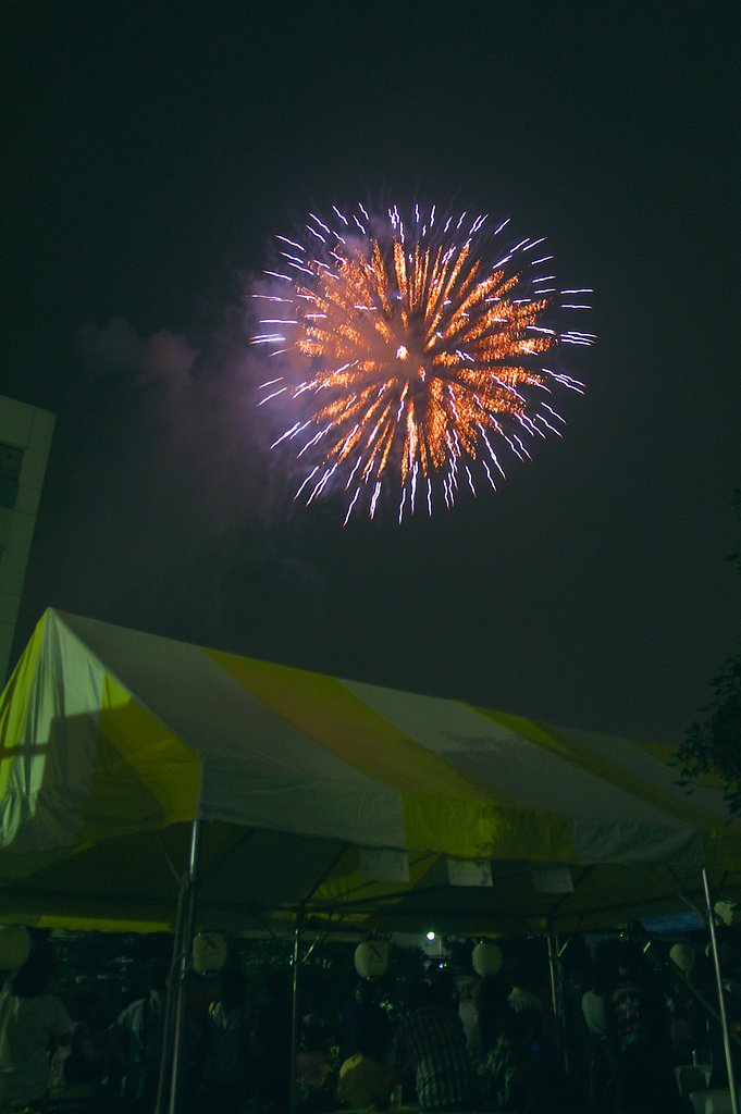 たまやーい
