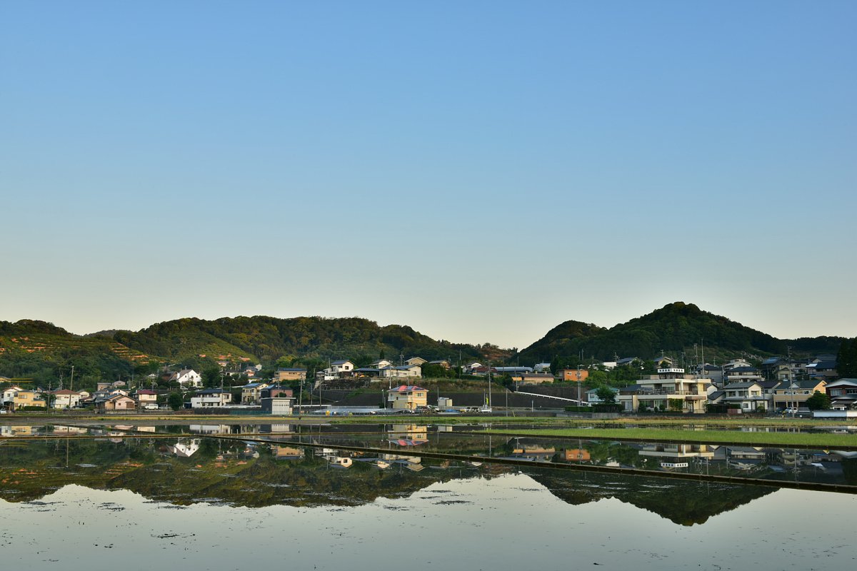 一昨日の水田から