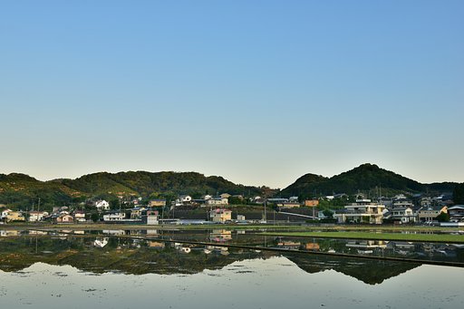 一昨日の水田から