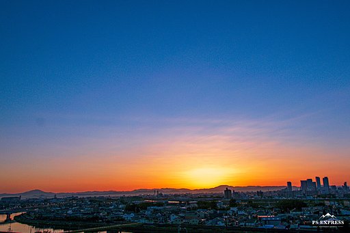 【花・空のある写真】5／30の日の出前