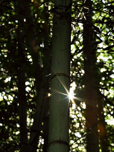 9月3日の写真