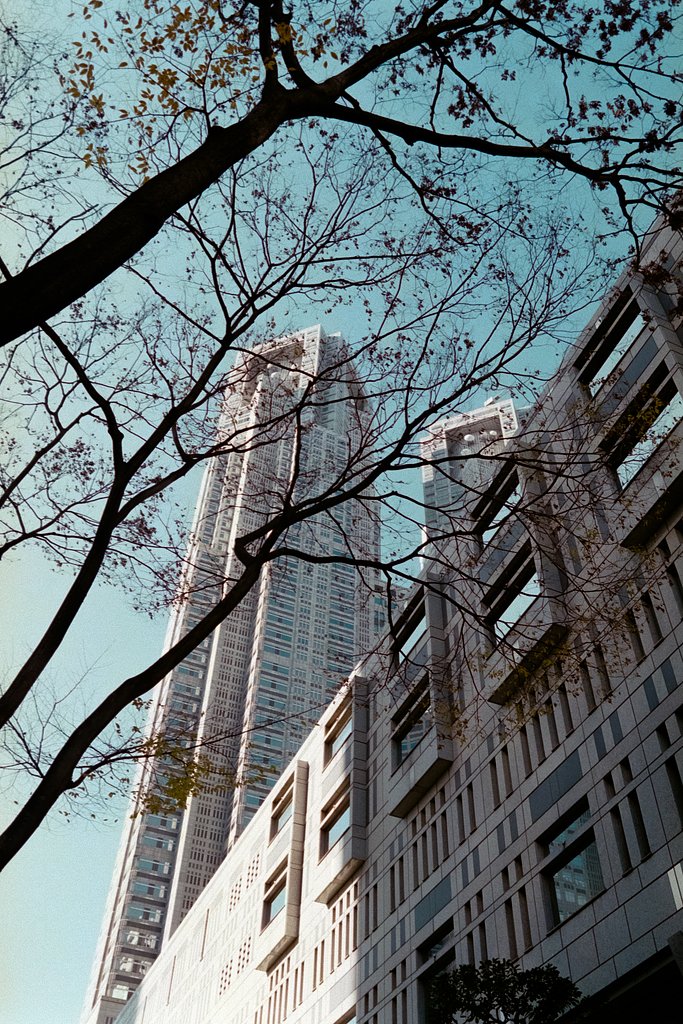 NIKON F3 でフィルム撮影
