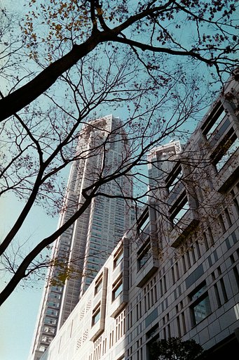 NIKON F3 でフィルム撮影