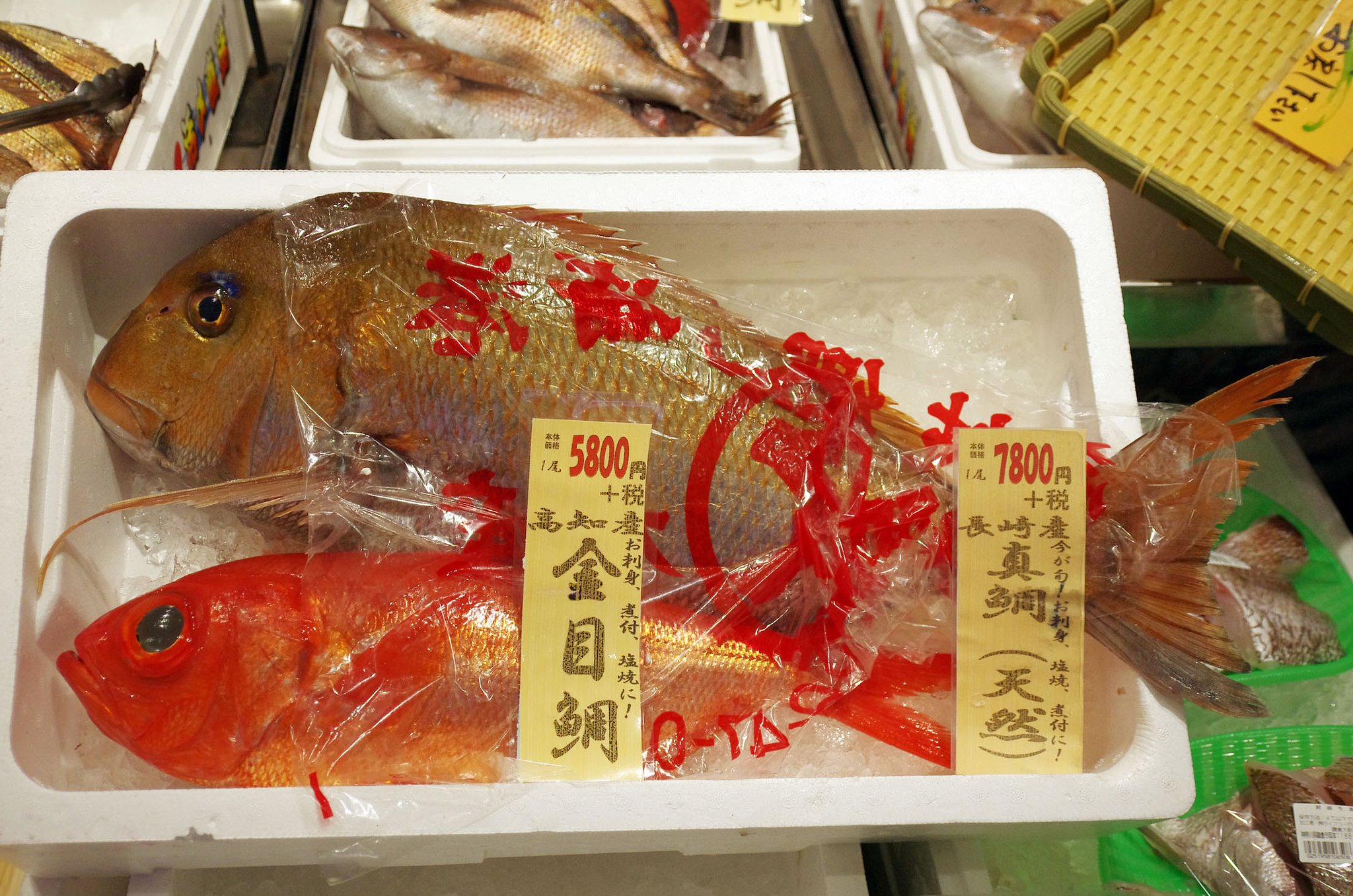 真鯛と金目鯛
