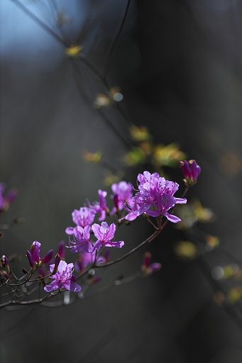 EF300mm F2.8L IS 