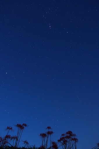 秋を追い越して