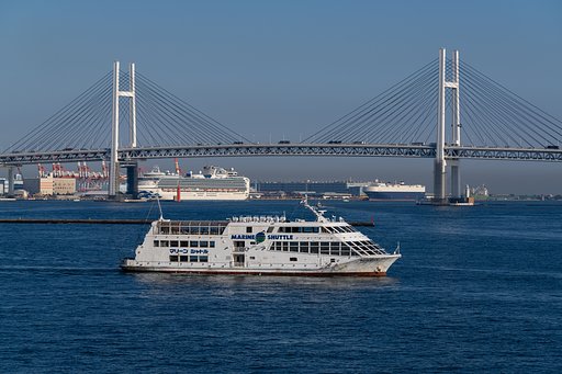 やっと帰国の途へ