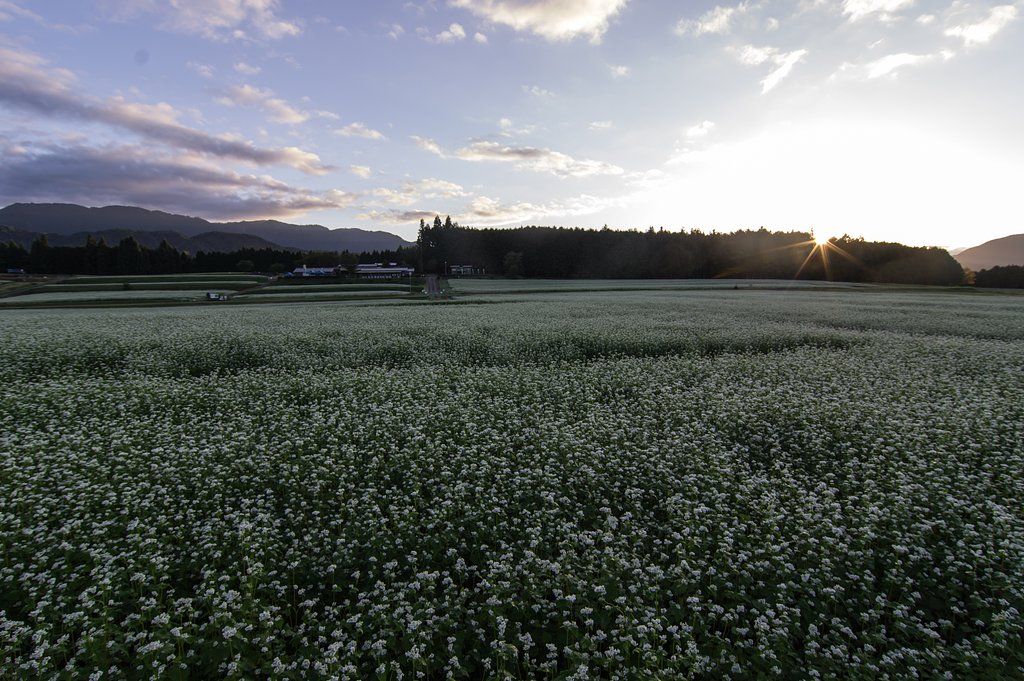 日の出