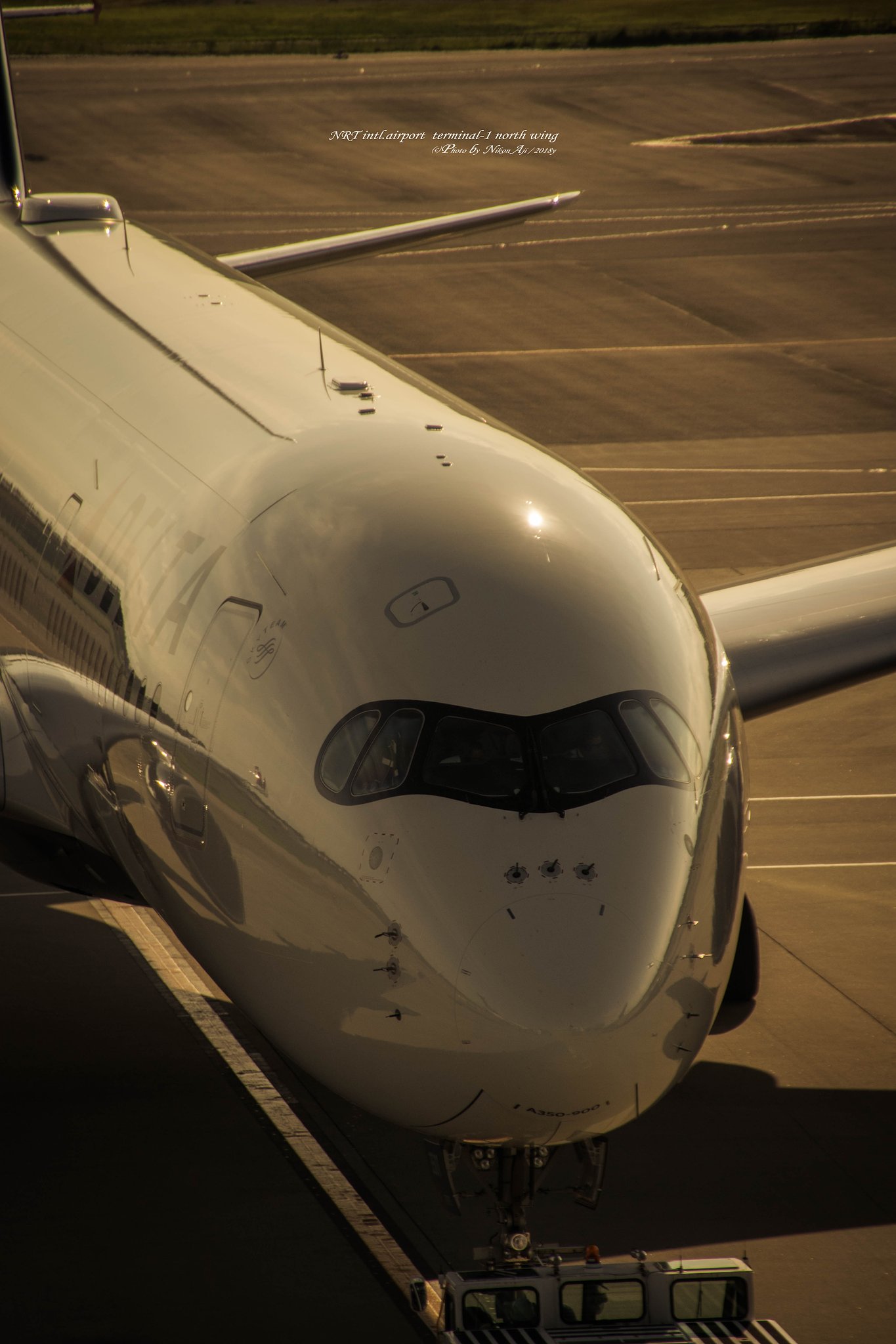 『ハードボイルドに』ＤＥＬＴＡ　Ａ350　